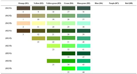 Constructing a Forest Color Palette and the Effects of the Color Patch ...