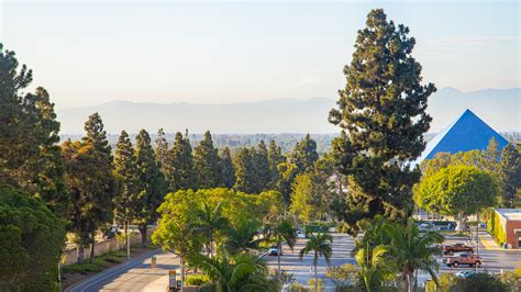 Image result for How to Apply to CSULB