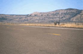Image result for Road Map for Java Developers