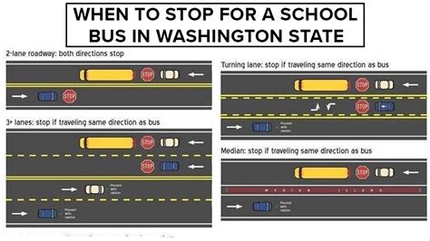 When should I stop for a school bus in Washington state? | krem.com