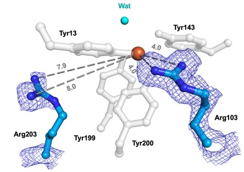 Image result for Neutron Diffraction Structure