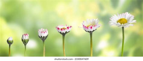 Image result for CSS Code Block