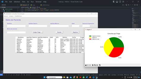 CRUD para registrar la consulta de pacientes en área de toco | Freelancer