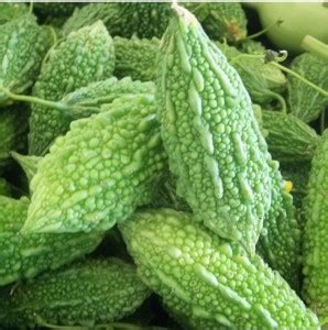 UGRA Bitter Gourd Seeds Seed Price in India - Buy UGRA Bitter Gourd ...