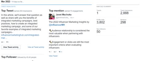 Twitter Analytics 的图像结果