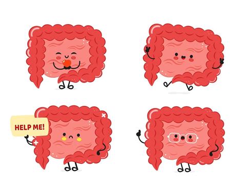 Rezultat imagine pentru Bowel Problems