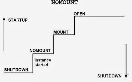 Image result for Startup Database Oracle