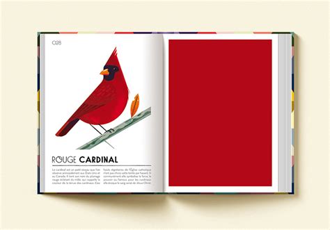 Image result for Colorama Examples