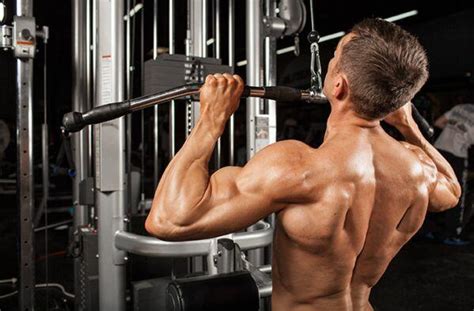 Image result for FST-7 Back