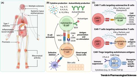 Frontiers in CAR-T cell therapy for autoimmune diseases: Trends in Pharmacological Sciences