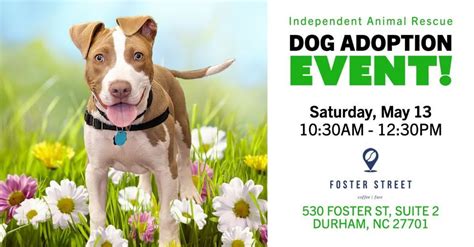 Independent Animal Rescue Dog Adoption Event - Foster Street Coffee ...