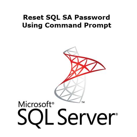 Image result for SQL Command Line Password
