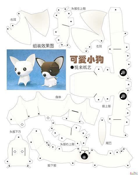 狗狗衣服详细裁剪图狗狗衣服怎么裁剪求图2022已更新今日动态