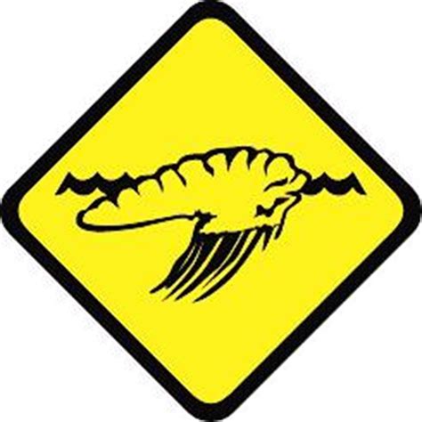 Image result for Blue Shell Warning Sound