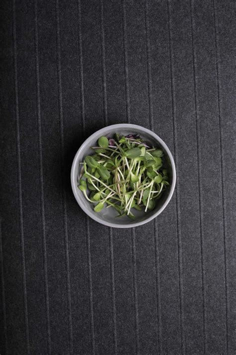 Sunflower Microgreens