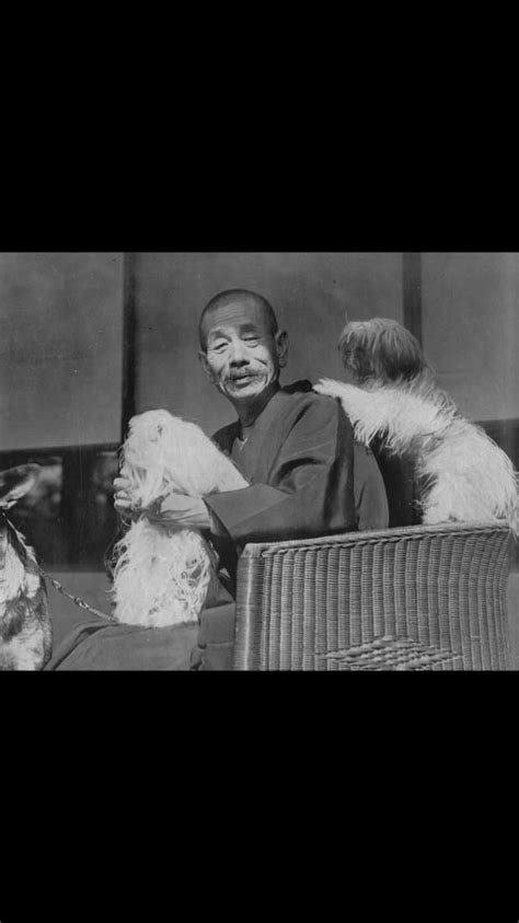 南京　松井 に対する画像結果