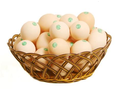 蛋鲜生Mr.Egg - 新鲜在品牌创建与管理
