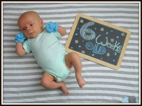 6 Week Old Baby