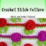 Image result for Rosebud Throw Crochet Videotutorial