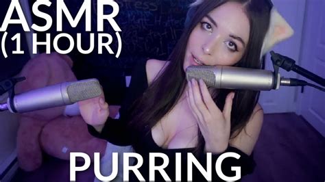 Image result for Purring Discord Server