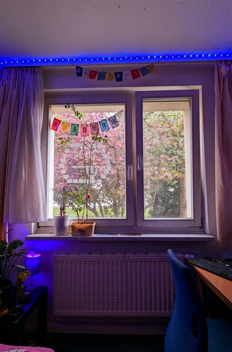 Spring Window View 的图像结果