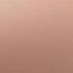 Buy ColorBar Powerkiss Vegan Matte Lipcolor Online at Best Price of Rs ...