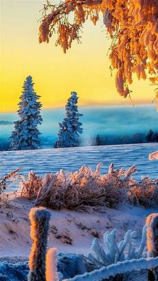 Ultra Hd Free 4k Wallpaper by 4k Ultra Hd Nature Wallpaper 67 Images Ultra Hd Free 4k Wallpaper
