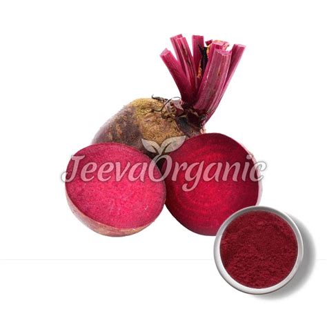 Bulk Beet Root Extract Powder 4:1 Supplier