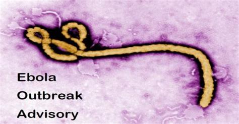 Risk Advisory | Riskpro India - Connect with Risk Professionals