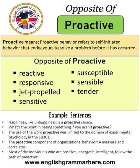 Image result for Proactive Meaning
