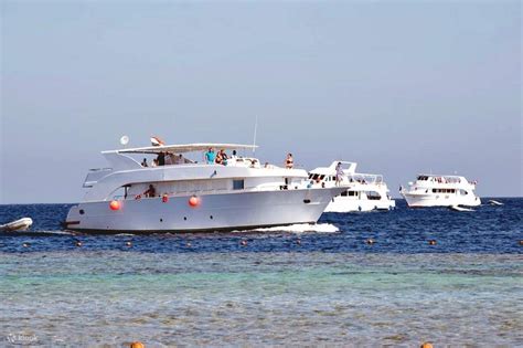 Explore Marsa Mubarak: Snorkel with Sea Cows and Turtles in Marsa Alam ...