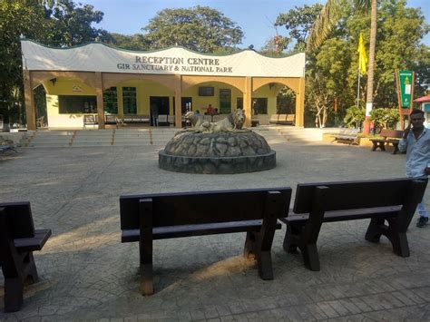 SINH SADAN GUEST HOUSE (Gir National Park, Gujarat) - Guesthouse ...