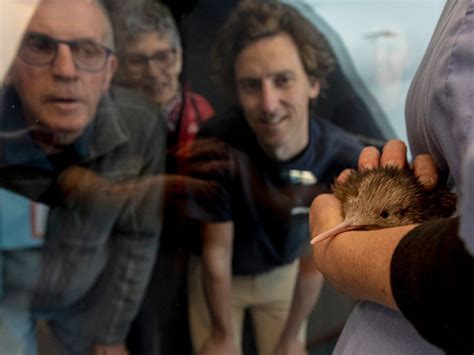 THE NATIONAL KIWI HATCHERY AOTEAROA (2026) All You Need to Know BEFORE You Go (with Photos ...