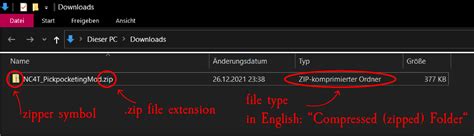 Image result for How to Unzip Sims 4 Mod Files