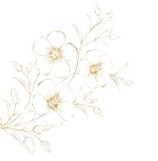 20+ Best Restaurant in Alipur , Delhi | Shaadi Bazaar