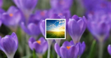 Obituary Guestbook | Donna Jeanne Mouser of Marquand, Missouri | Follis ...