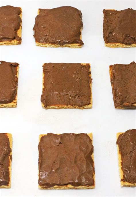 Baileys Chocolate Covered Graham Crackers - No Bake - Quick and Easy ...