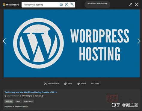 Bing搜索 的图像结果