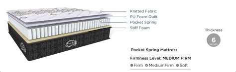 Centuary Mattresses Sleepables 6-Inch Double Size Ortho Pocketed Zero ...