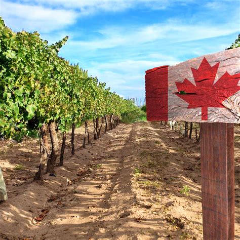 CANADA'S AGRICULTURE DAY - February 11, 2025 - National Today