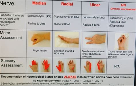 Lower Extremity Exam 的图像结果