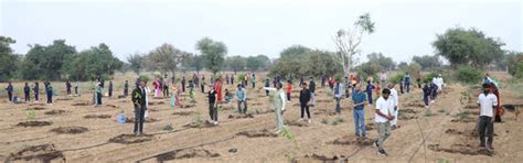 Grow Billion Trees Certificate