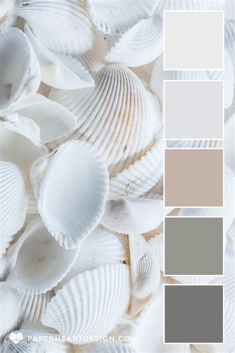 Image result for Shell Casing Color Palette