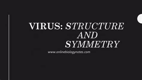 What type of symmetry is displayed by filamentous viruses?type=images