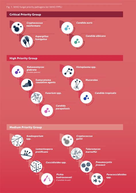 Pathogens 的图像结果