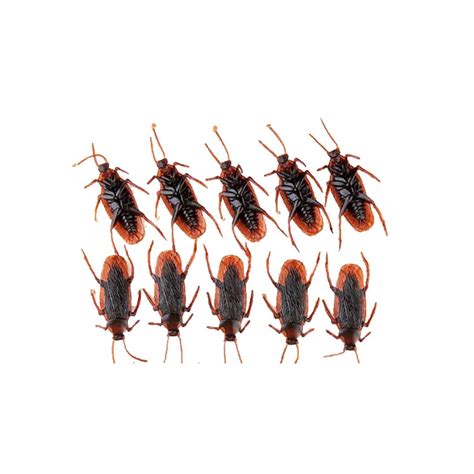Buy Fake cockroach toy simulation props spoofing scary prank plastic ...