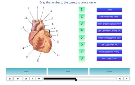 Image result for Nearpod Lesson Code Cardiovascular System