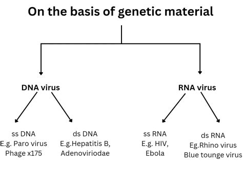 Image result for Virus Types
