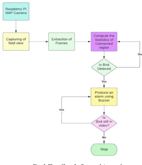 Image result for Raspberry Pi Crow