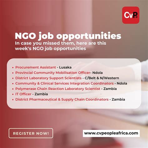Looking to work in the NGO sector? Here are some recent job opportunities with a USAID-funded ...